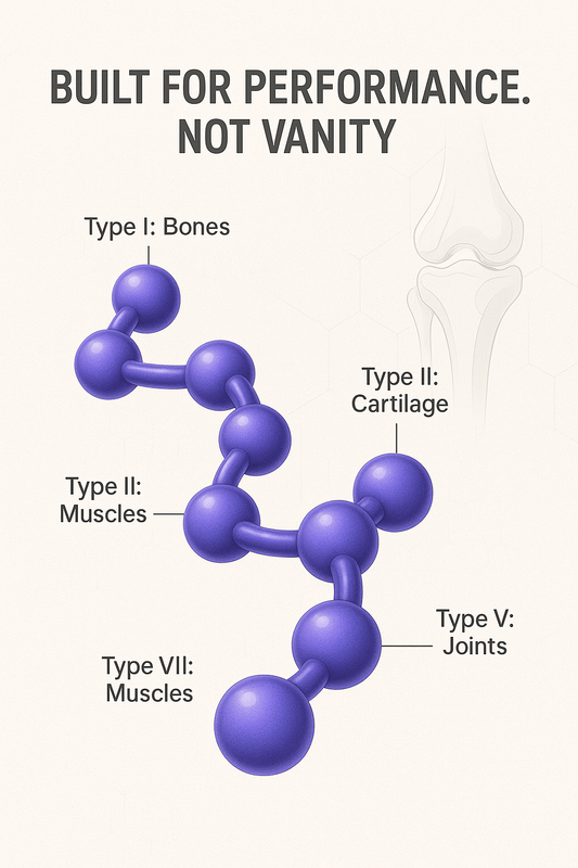 The Science of Staying Unbreakable: How Collagen Powers Your Joints
